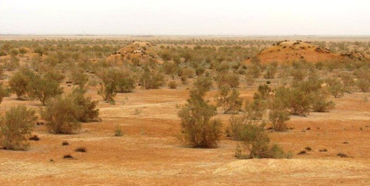 مقابله جهادی با بیابانزایی در مساحتی بیش از 3 میلیون هکتار