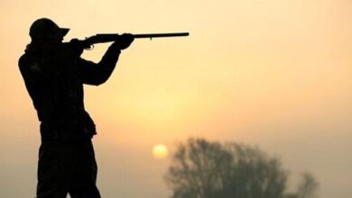 ممنوعیت صدور پروانه شکار برای شکارچیانی که در کلاسهای آموزشی شرکت نکنند