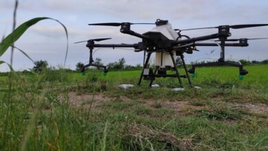 مهلت 2 ماهه سازمان هواپیمایی به دارندگان پهپاد غیرنظامی برای پلاکگذاری