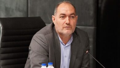 نماینده مجلس: ابزارهای نظارتی مجلس به بهبود فضای کار دولت کمک میکند