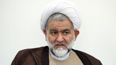 نوروزی: در لایحه عفاف و حجاب برای همه دستگاهها و نهادها وظایفی تعیین شده است