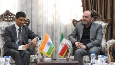 هرمزگان آماده جذب سرمایهگذار هندی در حوزه بندری و دارویی است