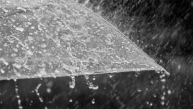 هواشناسی ایران ۱۴۰۲/۰۶/۰۱؛ کاهش دما در نوار شمالی کشور/ پیشبینی آسمان صاف کربلا تا شنبه آینده