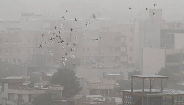 هوای کرج بسیار ناسالم است