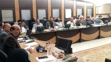 واردات خودروهای کارکرده از ۲ هفته آینده/ قفل ورود خودروهای تریلر و کشنده باز شد