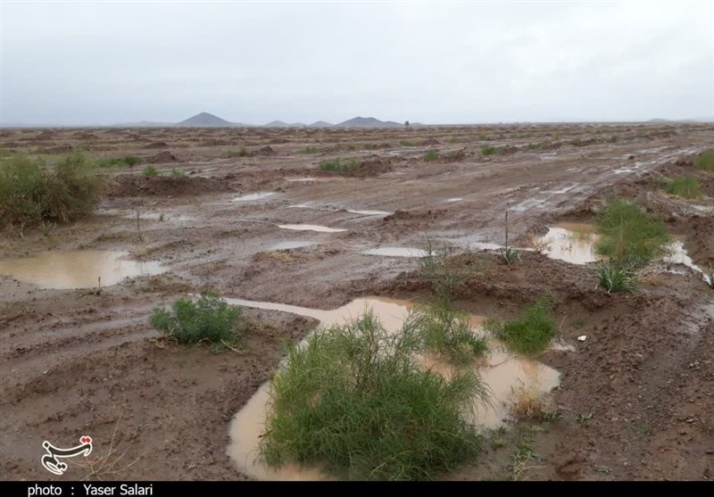 واگذاری ۴ هزار هکتار زمین در حریم شهر گناباد به نهضت ملی مسکن + تصاویر