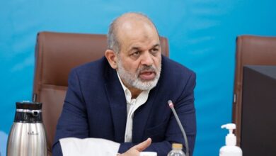 وحیدی: کُندی سیستم گذرنامه اربعین برطرف شده است