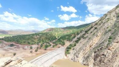 وزارت نیرو تمایلی برای احداث سد معشوره نداشت/ ۴۰ سال کوتاهی شد