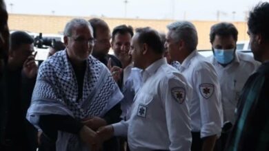 وزیر بهداشت: بیشترین زائران از پایانههای مرزی مهران و شلمچه عبور میکنند