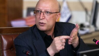 وزیر علوم: امیدوارم روزی تمام هیئت علمیها از مسیر بنیاد ملی نخبگان جذب شوند