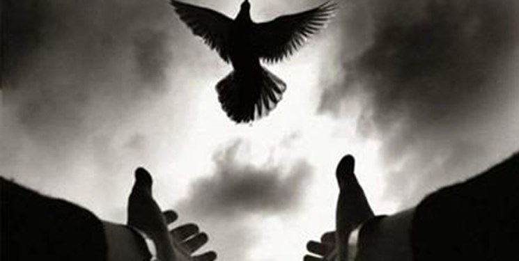 پایان اختلافات طایفهای 3 ساله در لردگان با رضایت خانواده مقتول