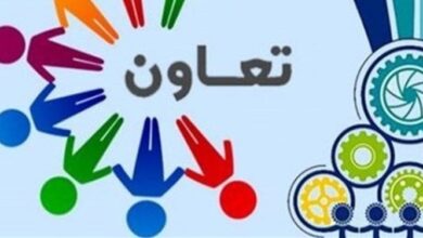 پرداخت وام به تعاونیها باید با نرخ سود کمتر از شبکه بانکی صورت گیرد