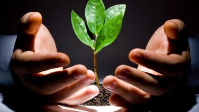 پرداخت ۱۶۰۰ میلیارد وام قرضالحسنه به کشاورزان قزوین