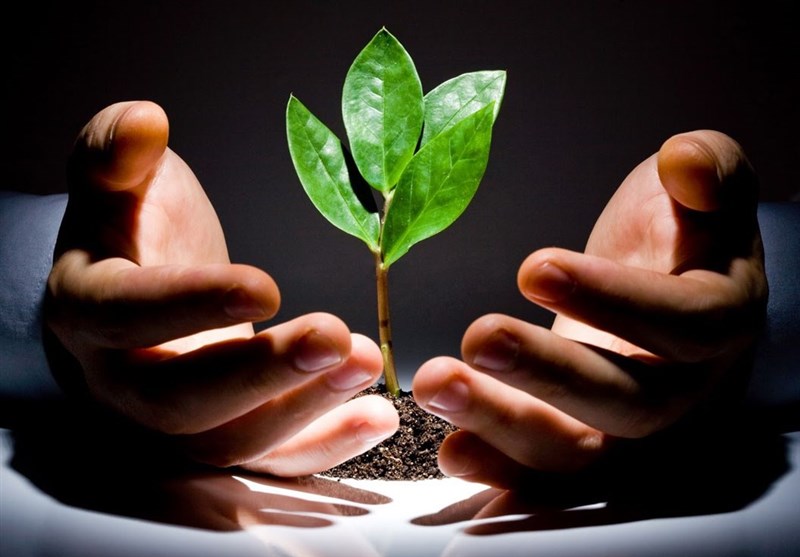 پرداخت ۱۶۰۰ میلیارد وام قرضالحسنه به کشاورزان قزوین