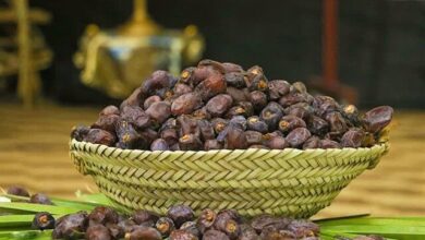 پیشبینی تولید بالغ بر ۳۲۰۰ تن خرما در کرمانشاه