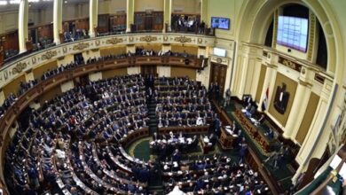 پیوستن به بریکس اقتصاد مصر را از سلطه دلار رها میکند