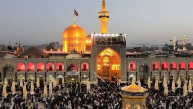 چهارشنبههای امام رضایی؛ دل به گرمای گنبد و ضریح شما بستهام