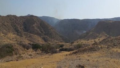 کاهش آتشسوزی در مراتع و جنگلهای منابع طبیعی استان بوشهر