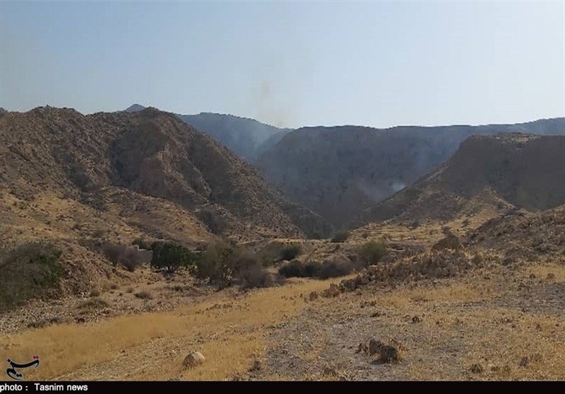 کاهش آتشسوزی در مراتع و جنگلهای منابع طبیعی استان بوشهر