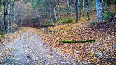 کریدور گردشگری خراسان رضوی و مازندران کلید میخورد