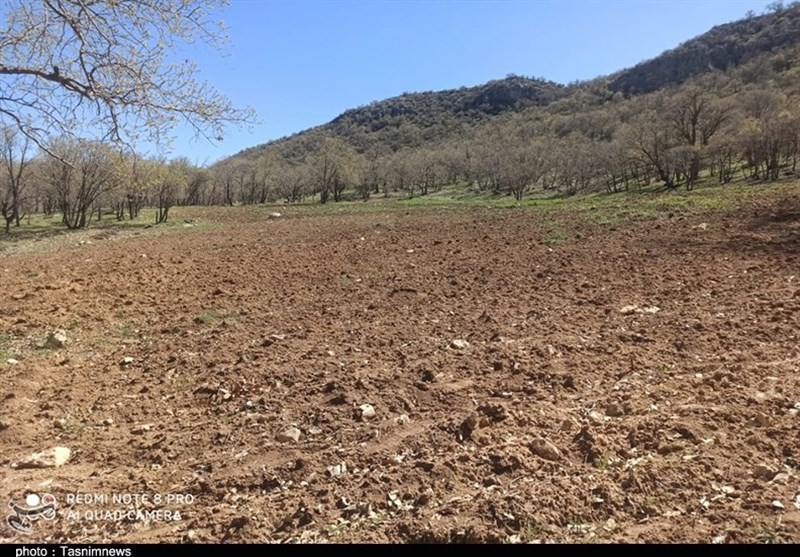 کشف زمینخواری ۱۲۰۰ میلیاردی در مازندران