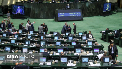 گزارش کمیسیون کشاورزی درباره مشکلات تامین نهادههای دامی در سال زراعی جدید