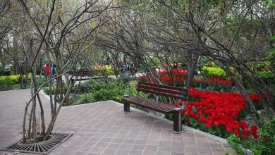 ۱۲ بوستان شهدا در اردبیل راهاندازی شد