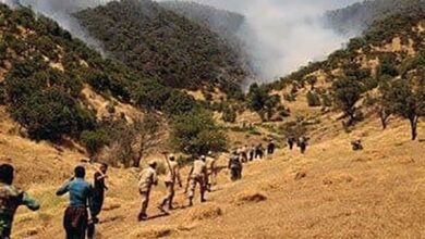 ۴ دستور رئیس دادگستری کردستان درباره آتشسوزی جنگلهای مریوان