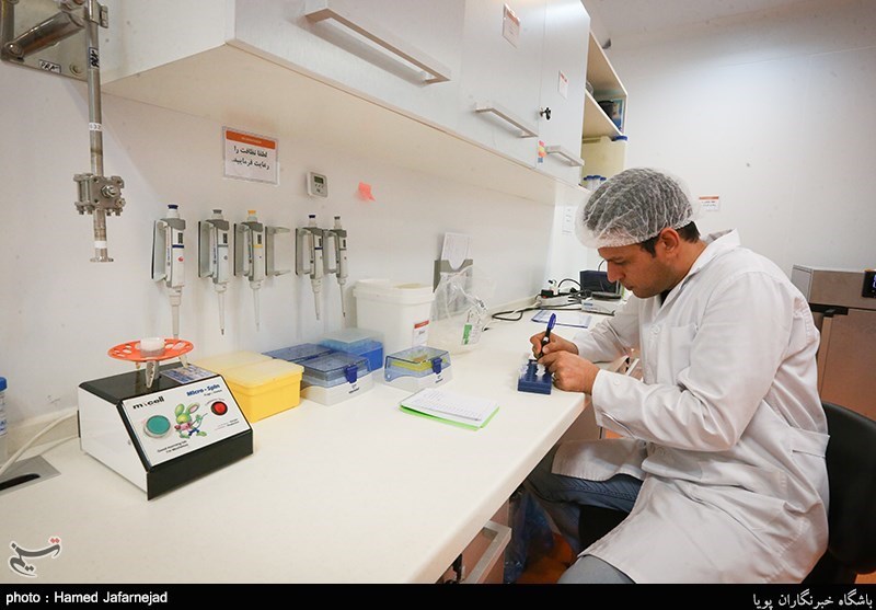 ۴۶ شرکت دانشبنیان اردبیل تسهیلات میگیرند