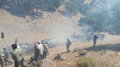 ۵ نفر از عوامل آتشسوزی مراتع و جنگلهای کهگیلویه و بویراحمد دستگیر شدند