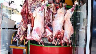 ۷۸ واحد عرضه غیر مجاز گوشت در ورودیهای شیراز پلمب شد