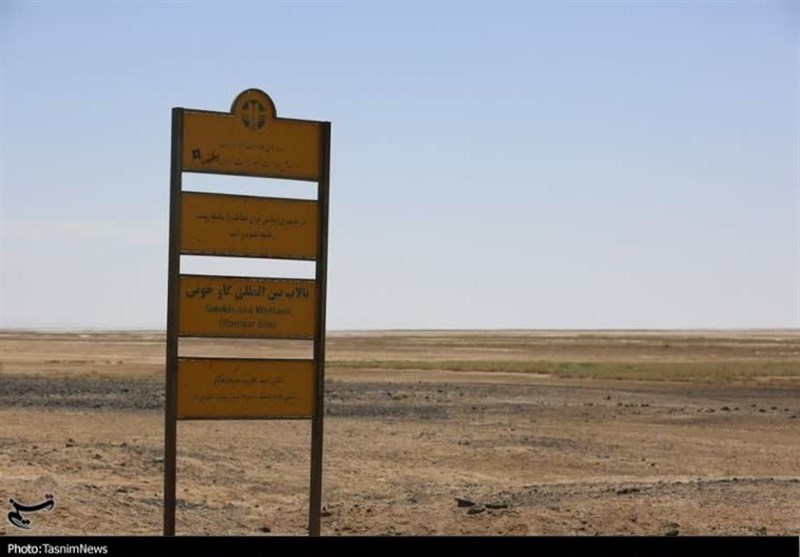 ۹۹ درصد تالاب گاوخونی خشک شد/ خزان درختان در نوار زایندهرود 