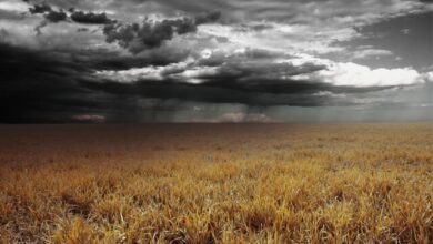 آغاز سال آبی جدید با کاهش محسوس بارش در حوضههای آبریز کشور