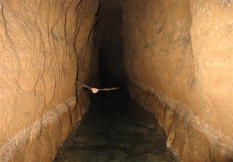 آغاز فاز ۲ بهسازی مسیر گردشگری میراث جهانی قنات قصبه گناباد