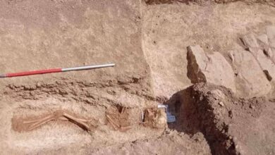 آغاز فصل دوم باستانشناسی در گورستان تاریخی سقز/ آثار عصر مفرغ کشف شد + تصاویر