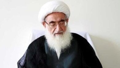 آیتالله نوری همدانی: آیتالله صلواتی از شخصیتهای ممتاز عصر حاضر بود