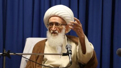 آیتالله نوری همدانی: رفع فقر و ریشهکنی ظلم از شاخصههای مهم حرکتهای انقلابی است