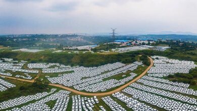 احتکار 2 خودروساز بزرگ کشور با هدف اخذ مجوز افزایش قیمت