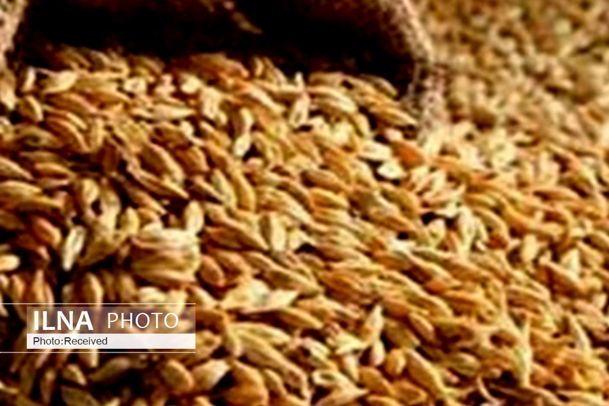 اطلاعیه برونسپاری تامین نهاده کنجاله سویا