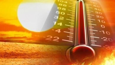 افزایش ۹۹ درصدی رطوبت و شرجی نفسگیر در استان بوشهر