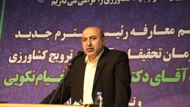 الگوی کشت امسال شامل محصولات باغبانی هم میشود/ تامین ۸۰ درصد نیاز غذایی کشور در داخل