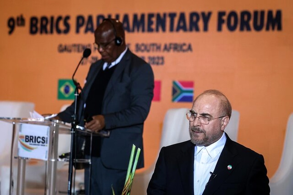 اهمیت کشورهای آفریقایی برای ایران کمتر از بریکس نیست