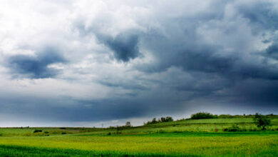 اوضاع بارندگی در حوضههای آبریز در سال آبی جدید