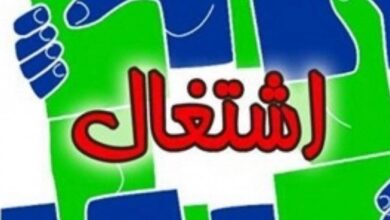 ایجاد سامانه مشکل بیکاری را حل نمیکند/ضرورت مشارکت تعاونی ها در اشتغالزایی