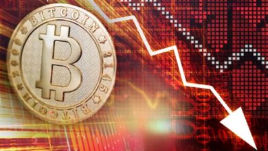 بازار ارزهای مجازی امروز سرخپوش بود