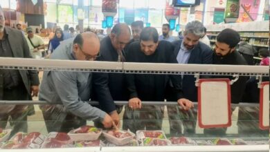 بازدید مخبر از مجتمعهای توزیع اقلام پروتئینی در استانهای تهران، قم و البرز