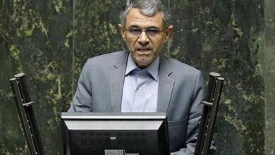 بدری: طرح ساماندهی کارکنان دولت مورد بیمهری قرار گرفته است