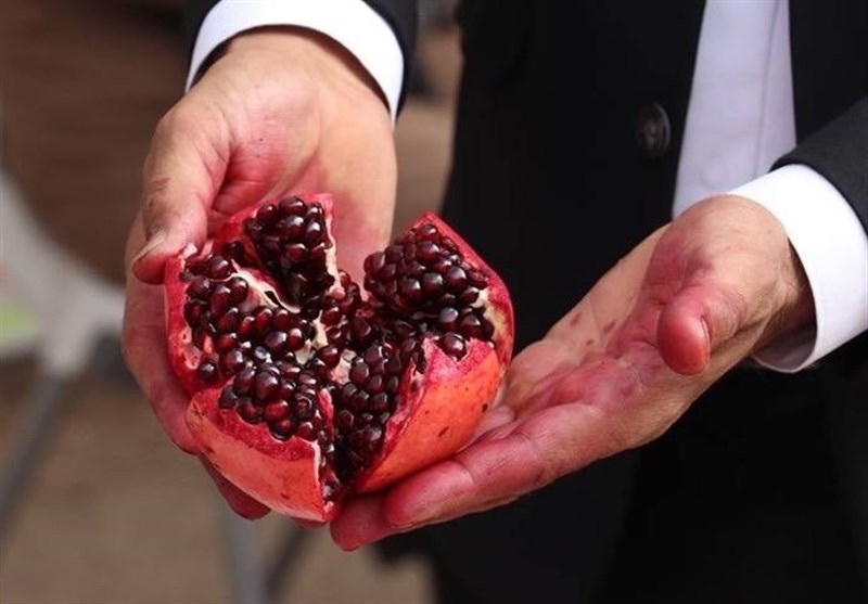 برداشت ۲۴ هزار تن انار از ۲۴۰۰ هکتار باغات سیستان و بلوچستان