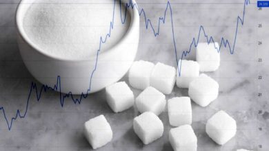 به بهانه افزایش قیمت شکر؛ بررسی تمام نمادهای این گروه + معرفی شرکتهای مستعد رشد!