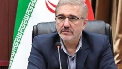 بودجه ۱۴۰۳ در زمان مقرر به مجلس میرود / سیاست بنزینی دولت غیرقیمتی است